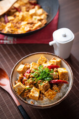 Mapo-Don, spicy mapo tofu on rice