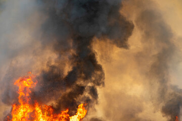 raging dust smoke pattern background of fire burn in grass fields, forests and black