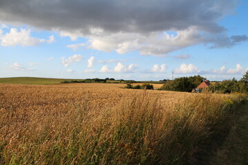 Sommer in mecklenburg Vorpommern