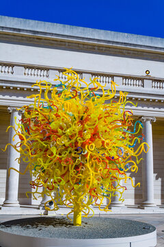sun at Dale Chihuly's  glass Art sculpture at the Legion of honor