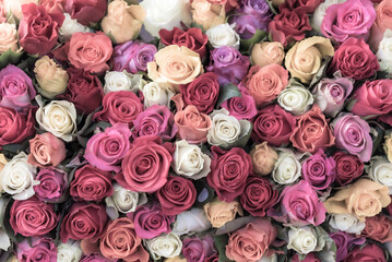 a colorful bouquet of roses in close-up