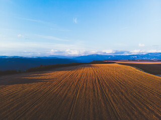 Fototapeta premium Endless fields and clear sky