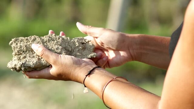 mani che toccano la terra