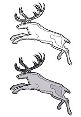 Vector drawing of running cartoon deer