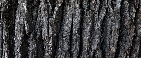 Dark bark surface texture background