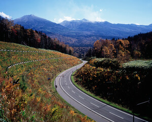 道路