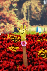 Rubber glove with smiley in flowerbed. Red flowers.