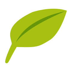 Hand drawn autumn leaf isolated on white background. Yellowish green. Doodle cartoon style. Botanical sketch. Nature and ecology. For templates, postcards, scrapbooking, prints and patterns