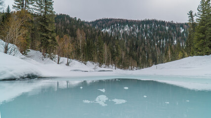 nature trips at different times of the year