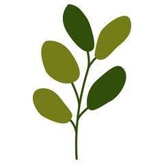 Fototapeta premium Hand drawn tree branch with leaves isolated. Olive green. Autumn and summer. Nature and ecology. Doodle cartoon. Botanical sketch. For templates, postcards, scrapbooking, prints and patterns