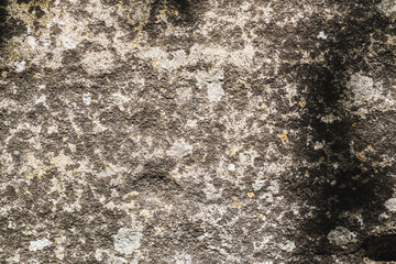 The ancient rusty old stone texture for background and design concepts. the shadow of the foliage on the rock. geology.