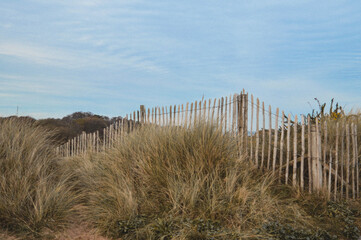fence on the beach