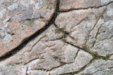 The ancient rusty old stone texture for background and design concepts. the shadow of the foliage on the rock. geology.