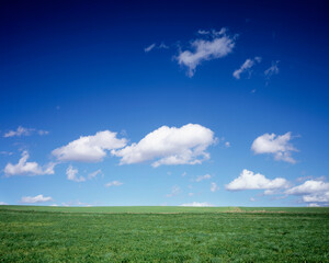 Obraz premium 美瑛の草原