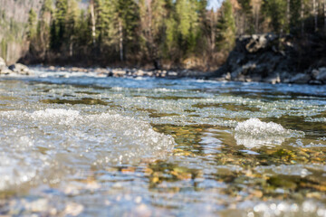 nature trips at different times of the year