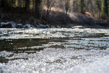 nature trips at different times of the year