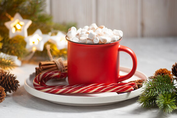 Beautiful christmas drink in the red cup with marshmallows and cinnamon with anis stars close-up