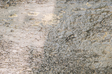 Rustic old stone texture for background and design concepts. the shadow. gray. geology.