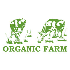 Cow silhouettes, grass, the inscription ORGANIC FARM. Logo for a natural product, for the dairy and meat business, for a store, for a bazaar. Vector illustration.