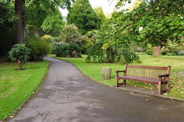 bench and path in the park