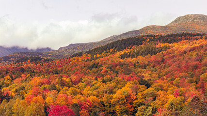 Mount Washington