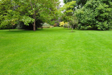 Fototapeta na wymiar lawn in the garden