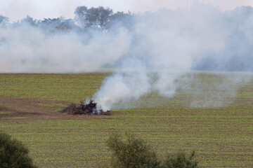 Fototapeta na wymiar Fires of bushes after cleaning a field in a farm