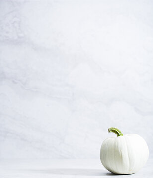Artisanal pumpkins and gourds on a neutral background

