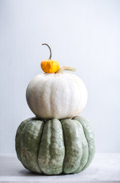 Artisanal pumpkins and gourds on a neutral background
