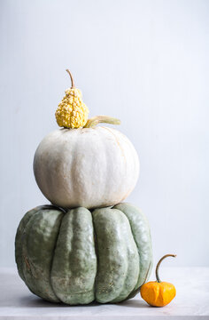 Artisanal pumpkins and gourds on a neutral background
