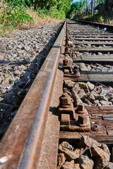 Seldom used, weathered railway line that is gradually overgrown by plants.