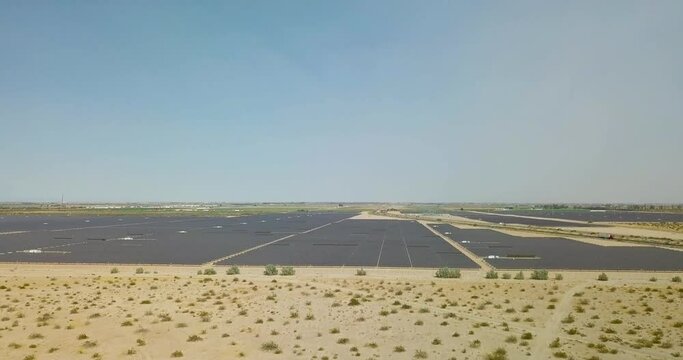 Solar Panel Farm