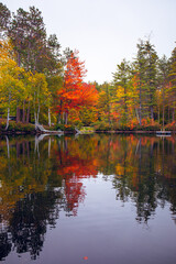 Bryant Pond in Fall