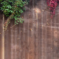 Old brown wooden fence and autumn leaves. Natural seasonal frame. Copy space. Square format