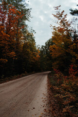 Obraz premium fall road