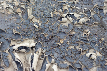 cracked dry grey clay
