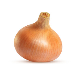 large bulb onion on a white background