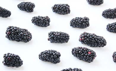 Group of ripe blackberry on a white background - 381959634