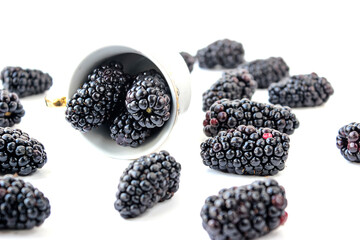 Group of ripe blackberry on a white background - 381959660