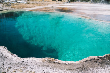 Hot spring in geothermal area of Yellowstone