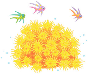 Funny bright fishes playing over poisonous stings of a sun anemone in a warm tropical sea, vector cartoon illustration on a white background © Alexey Bannykh