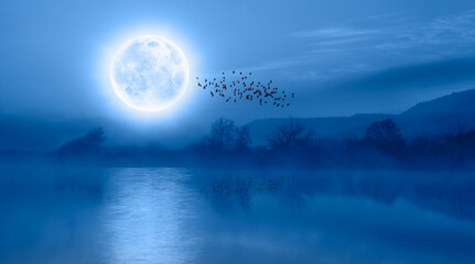 Fototapeta na wymiar Silhouette of birds with calm water of blue lake, full blue moon in the background 
