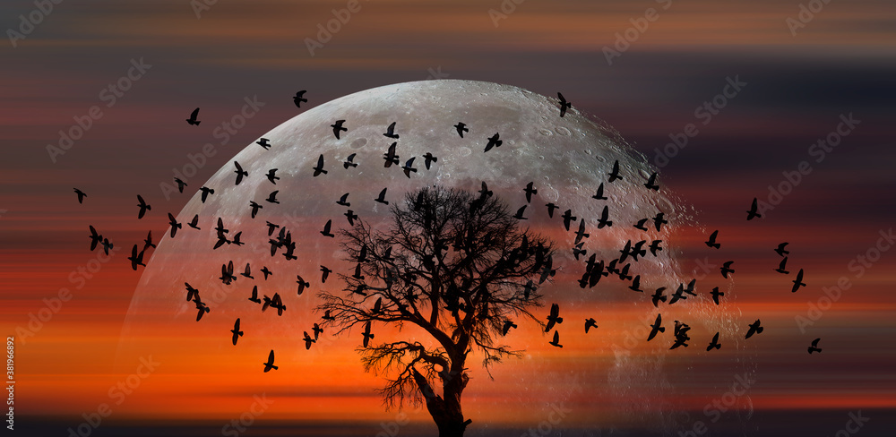 Poster silhouette of birds with lone tree, full moon at amazing sunset in the background 
