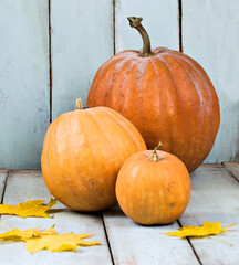 Autumn composition with pumpkins on light wooden boards