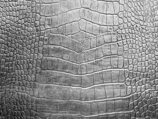 Poster Background crocodile skin silver.  The texture of natural crocodile leather in monochrome.  Abstract background . © Наталья Плеханова