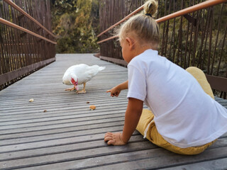 Niño dando de comer a un pato en un puente. 