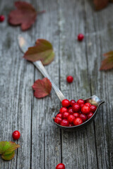 Viburnum berries in an antique ladle on a wooden background. Retro style