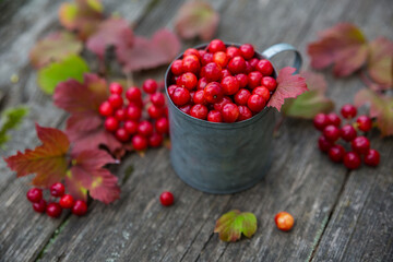 Viburnum berries in an iron mug on a wooden background.
