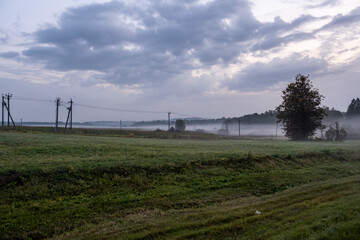 thick morning fog on the highway and yellow-green fields nearby at sunrise