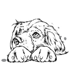 Cute puppy. Vector illustration. Pretty dog.